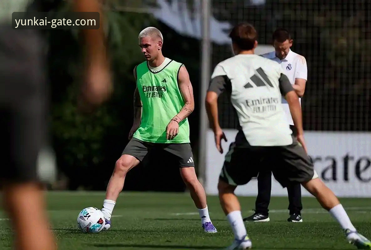 天才陨落与战术抉择：帕尼切利伤退对阿根廷世界杯前景的深度分析